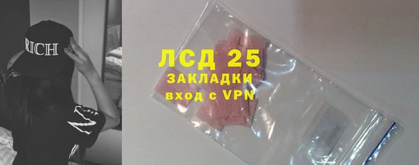 прущие крисы Каменногорск