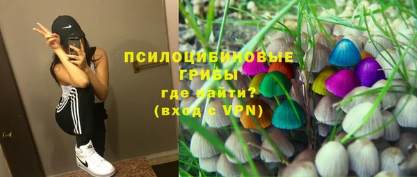 марки nbome Каменка